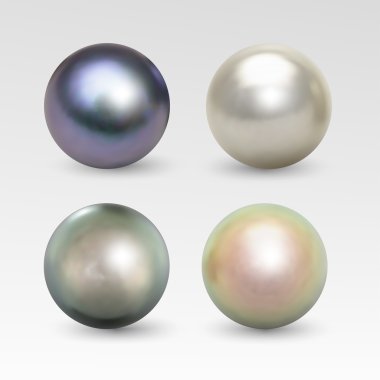 Pearl realistic isolated on white background clipart