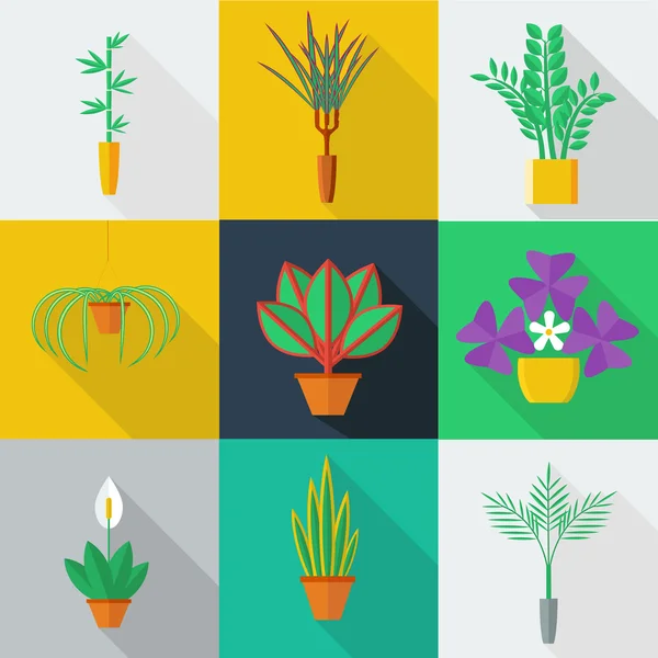 Illustratie van kamerplanten — Stockvector