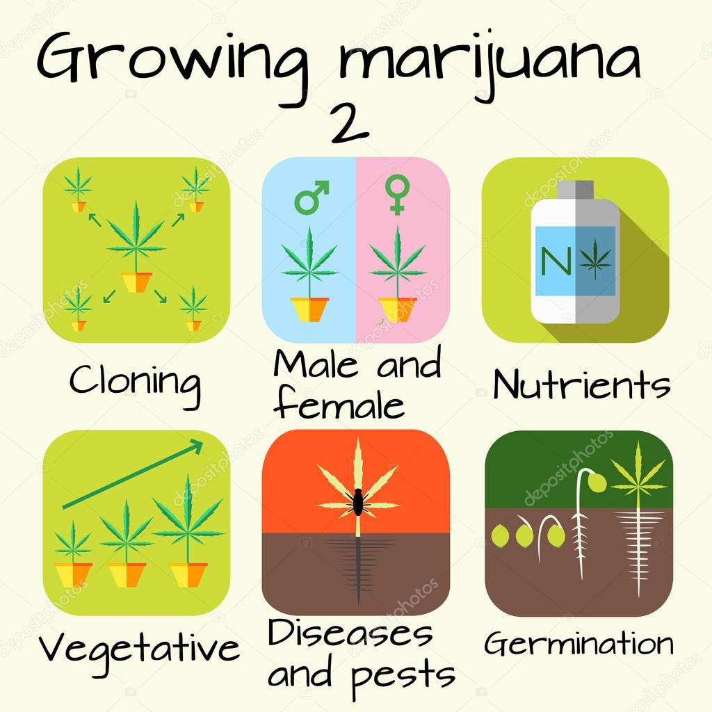 Marijuana growing set