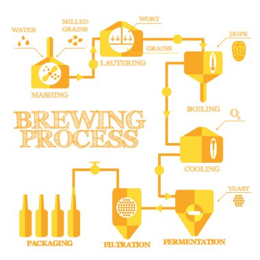 Bira süreci infographics
