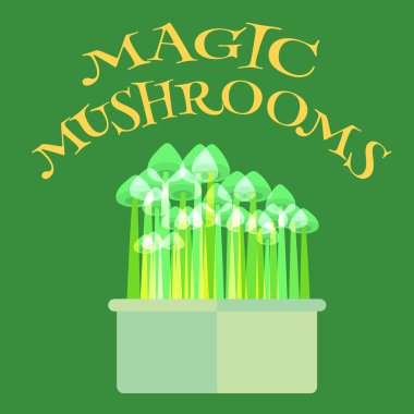 Magic mushrooms grow kit clipart