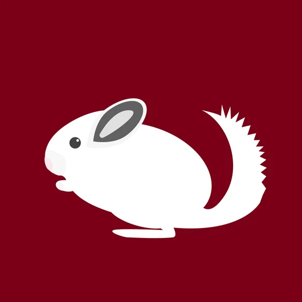 Chinchilla — Archivo Imágenes Vectoriales