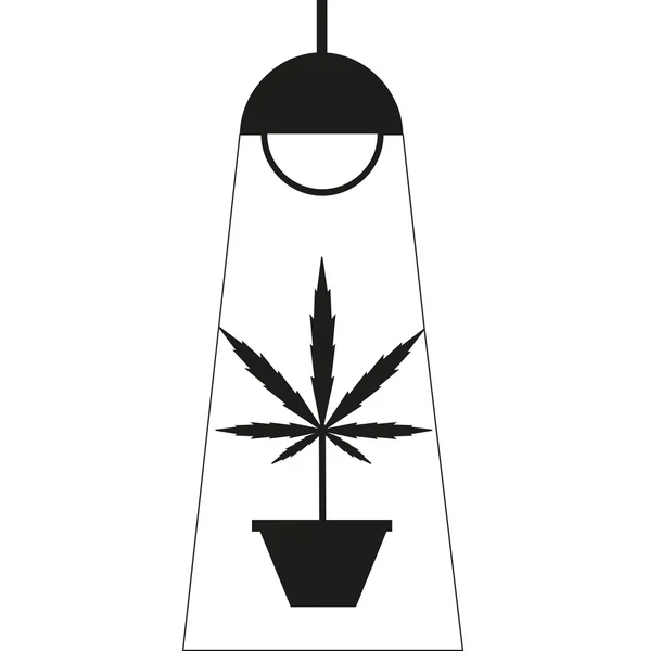 Boîte de culture de marijuana . — Image vectorielle