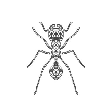 Zentangle stilize karınca