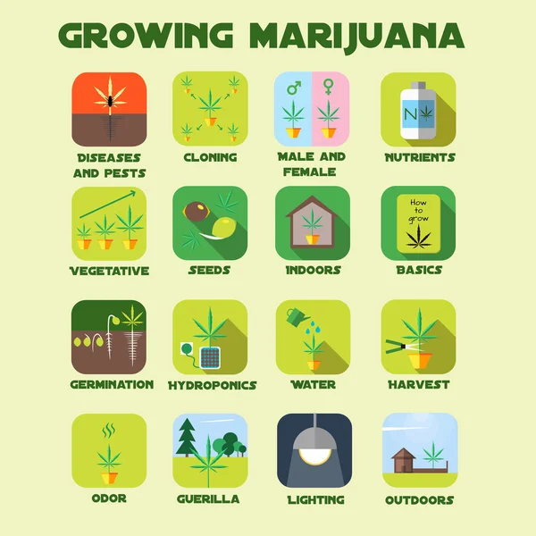 Marihuana groeiende pictogrammenset. — Stockvector