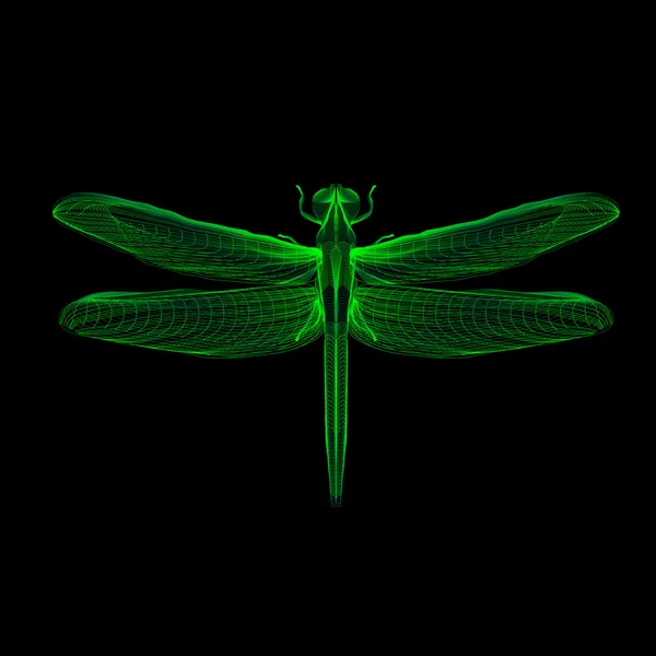 Dragonfly. 3d style vector illustration for print tatto t-shirt. — Stock Vector