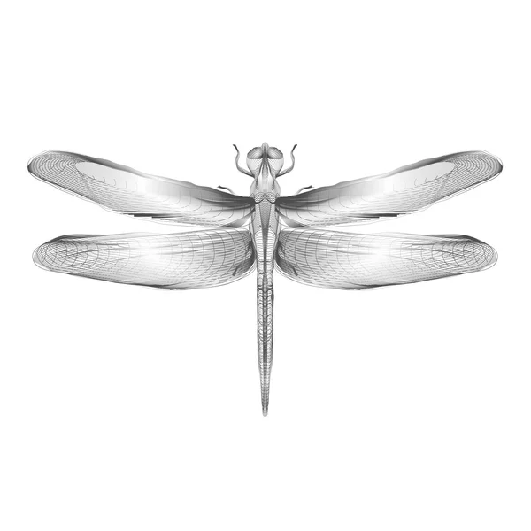 Dragonfly. 3d style vector illustration for print tatto t-shirt.