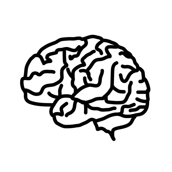 Brain icon isolated on white background. — Stock Vector