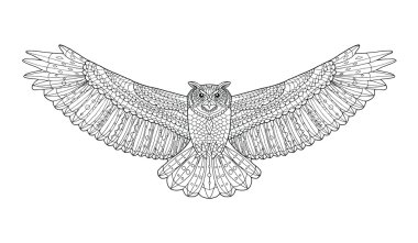 Zentangle kartal baykuş stilize. Dövme ya da t-shirt için kroki.