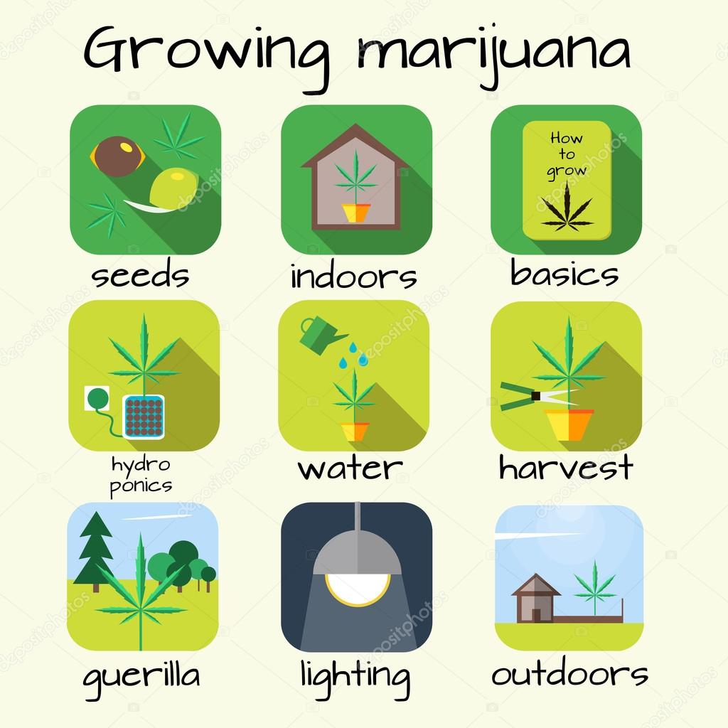 Marijuana growing icon set.