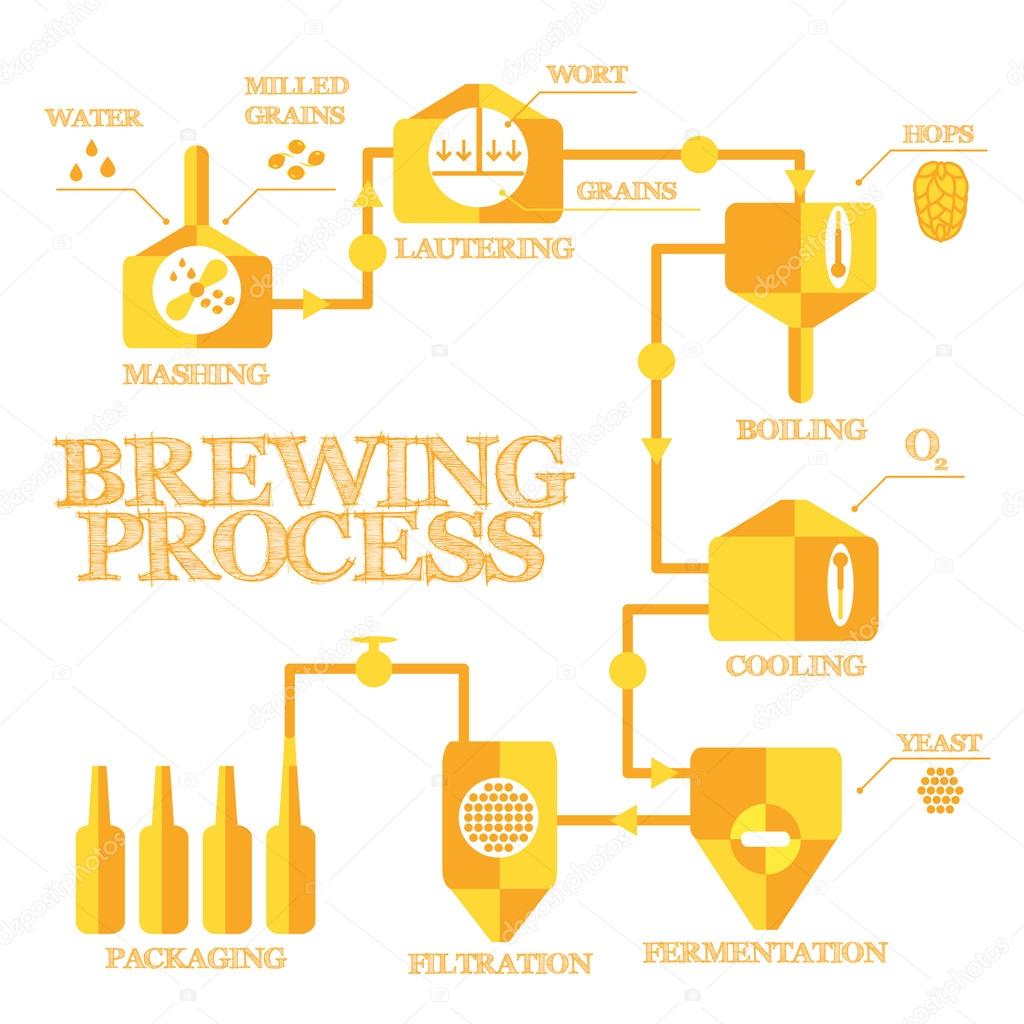 Brewery process infographics