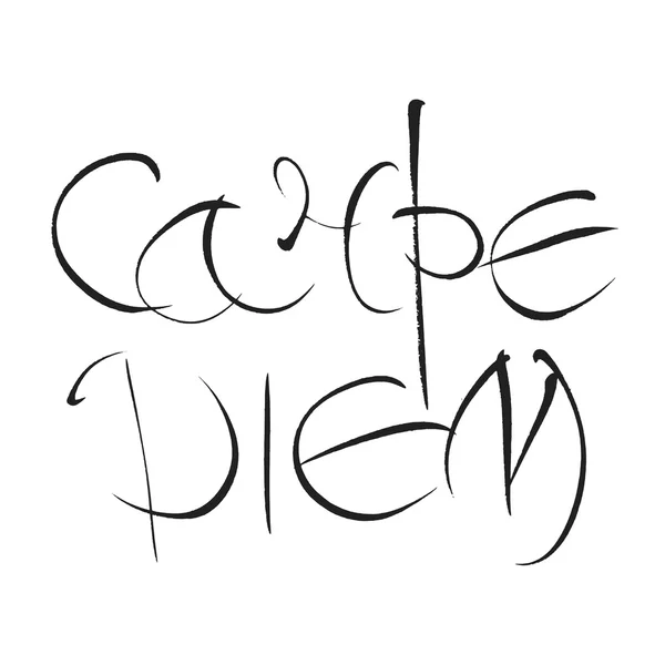 Carpe diem. Λατινική μετάφραση Αδράξτε τη στιγμή. Καλλιγραφία χέρι-γράμματα. — Διανυσματικό Αρχείο