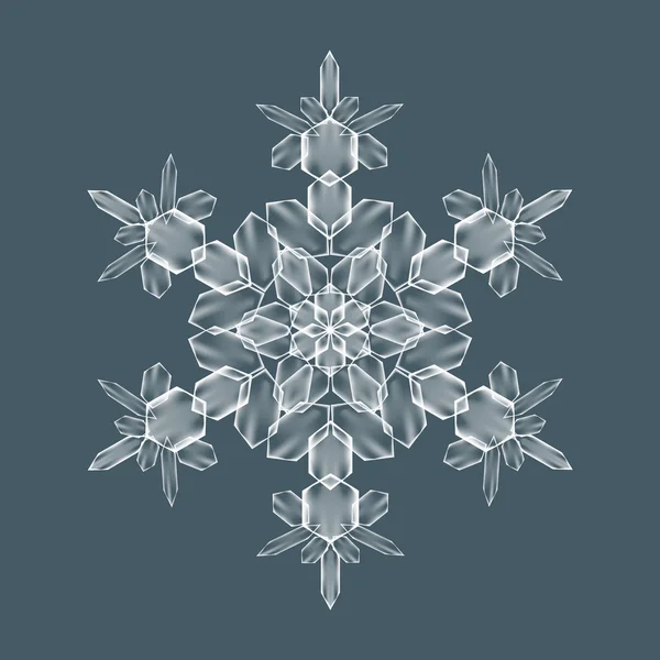 Copo de nieve decorativo — Archivo Imágenes Vectoriales