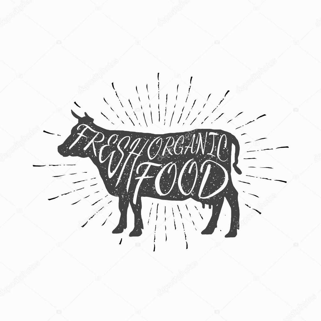 Cow. Farm animal icon, butchery concept isolated on white. Beef meat symbol, hand-drawing vintage silhouette. Premium beef label with grunge texture. Vector illustration for your design and business