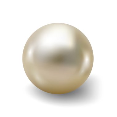 Pearl gerçekçi beyaz arka plan üzerinde izole