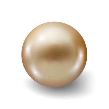 Pearl gerçekçi beyaz arka plan üzerinde izole