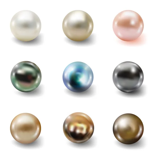 Pearl gerçekçi beyaz arka plan üzerinde izole