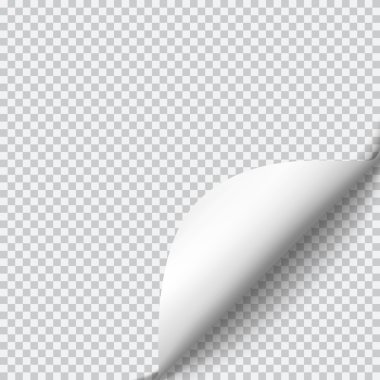 Sayfa curl boş kağıt üzerine gölge ile