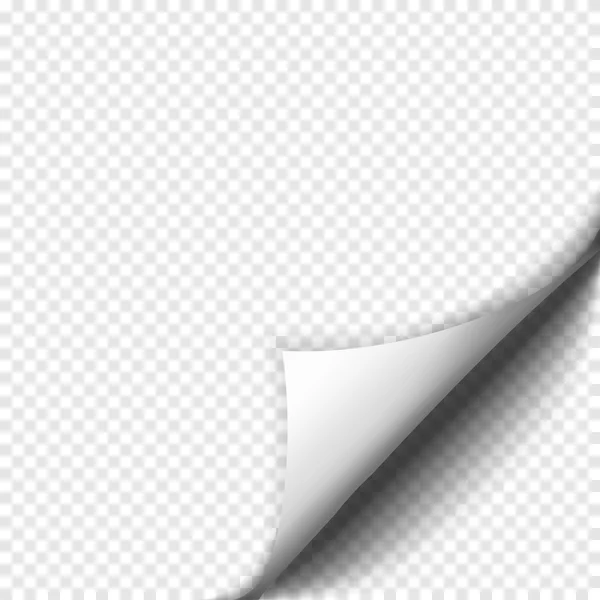 Rullande sidvändning med skugga på tomma pappersark — Stock vektor