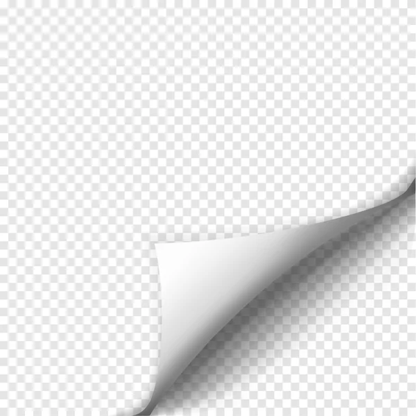 Seitenrolle mit Schatten auf leerem Blatt Papier — Stockvektor