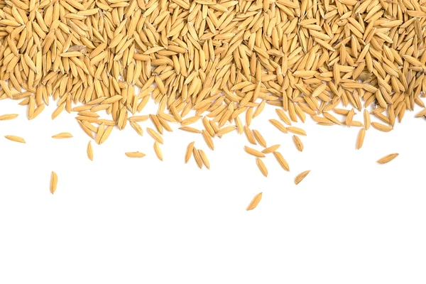 Сухий рисовий зерно на білому тлі — стокове фото
