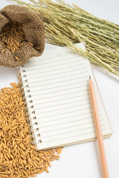 Paper note book with pencil, paddy, dy rice and sag — Stock Photo, Image