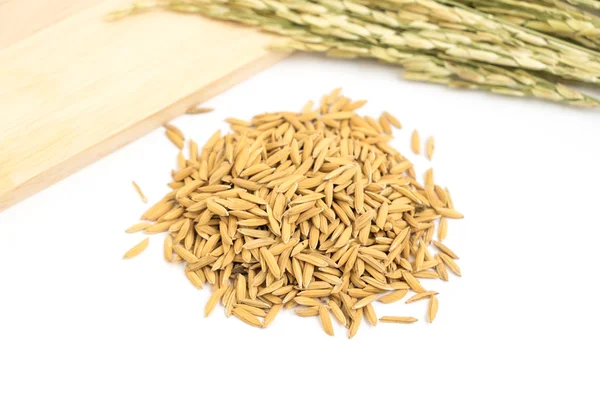 Isolated pile of dry raw paddy rice grain — Stock Photo, Image