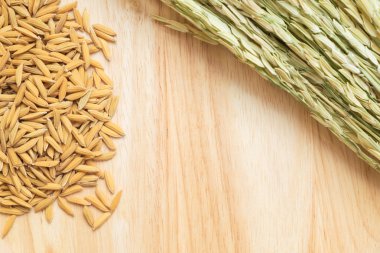 Ham çeltik pirinç tahıl kurutulmuş