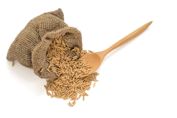 Ізольоване сухе зерно рису в мішку з дерев'яною ложкою — стокове фото