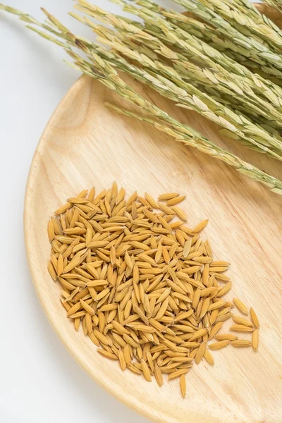 Dried paddy rice on round wooden plate — Stock Photo, Image