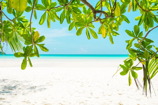 Piękny biały piasek na plaży i aqua morze woda i drzewa — Zdjęcie stockowe