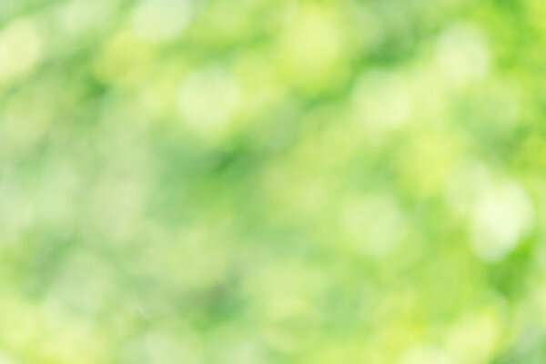 Abstract textured green blurred background and sunlight, Can be used as a wallpaper or for web design.