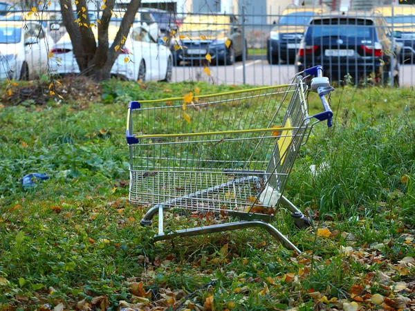 Elhagyatott Fűben Fém Kocsi Szupermarketben — Stock Fotó