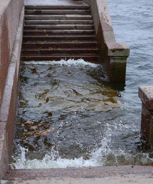 Discesa All Acqua Sul Argine Del Fiume Durante Alluvione — Foto Stock