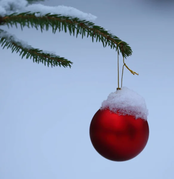 Weihnachtsbaum Spielzeug Rote Kugel Hängt Einem Fichtenzweig Mit Schnee Bedeckt — Stockfoto