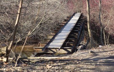 Ormanda nehrin karşı kıyısında dar bir köprü.