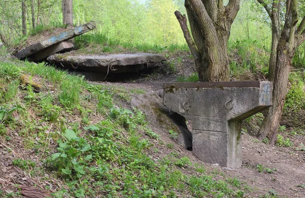 Resten Van Een Betonnen Structuur Het Bos — Stockfoto