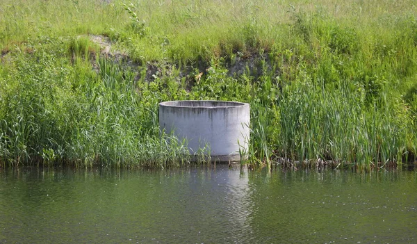 Een Betonnen Ring Groene Oever Van Een Vijver — Stockfoto