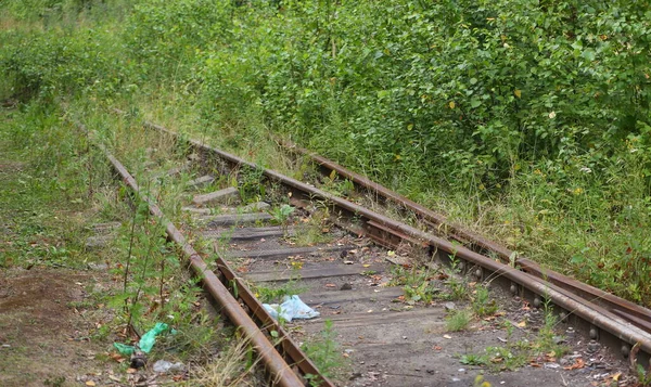 一条长满森林的废弃的旧铁路 — 图库照片