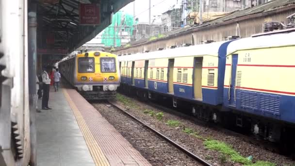 Mumbai Tren Local Que Entra Estación Tren Harbour Indian Railways — Vídeo de stock