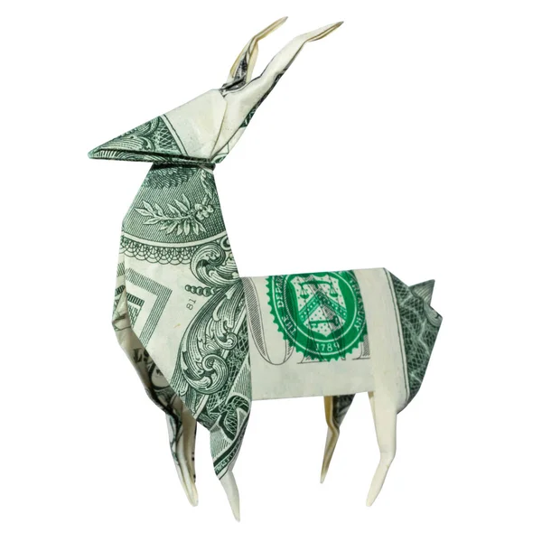 Denaro Origami Wild Deer Piegato Con Dollaro Reale Bill Isolato — Foto Stock