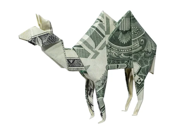 Money Origami Camel Složené Real One Dollar Bill Izolované Bílém — Stock fotografie