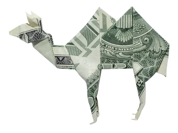 Denaro Origami Profilo Veduta Del Camel Con Disegno Aquila Piegato — Foto Stock