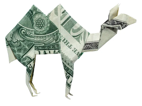 Гроші Орігамі Вид Профілю Camel Ліва Сторона Складена Справжнім Доларом — стокове фото