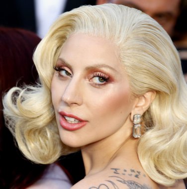 Sanatçı Lady Gaga