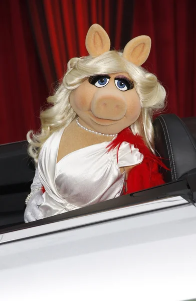 Muñeca Miss Piggy —  Fotos de Stock