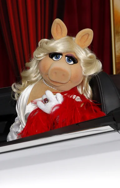 Muñeca Miss Piggy —  Fotos de Stock