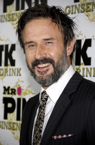 Skådespelaren David Arquette — Stockfoto