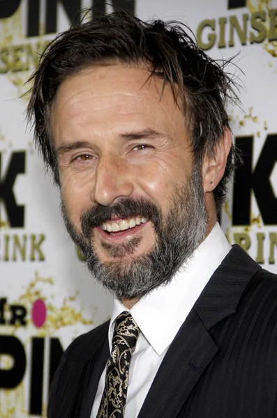 Skådespelaren David Arquette — Stockfoto