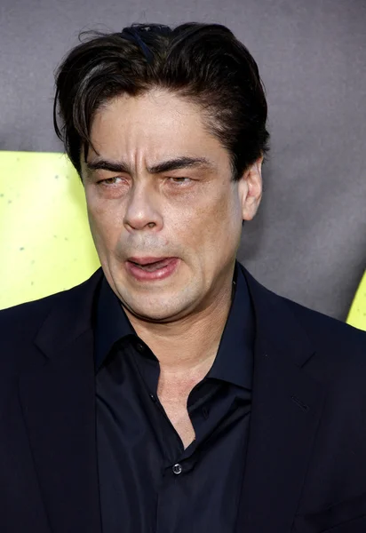 Acteur Benicio Del Toro — Photo